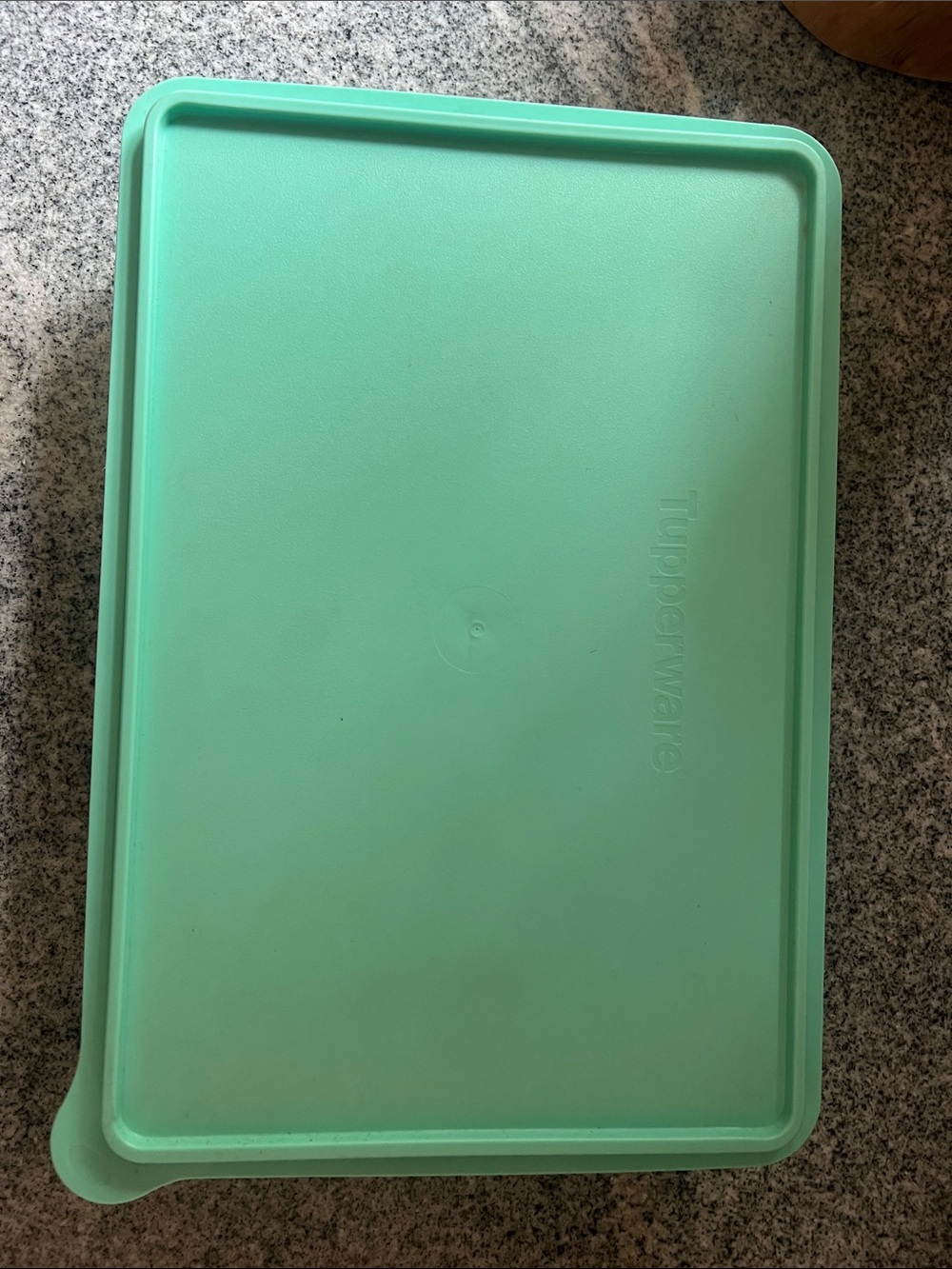 Tupperware Container  - Mint Green